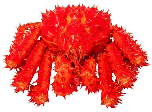 Red Alaskan King Sea Crab